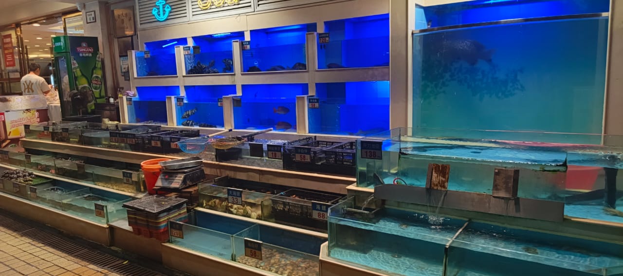 মাছ প্রক্রিয়াকরণ